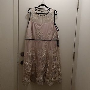 Fancy embroidered dress with velvet trim